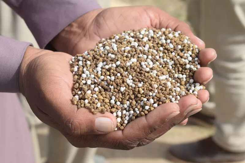 DAP Fertilizer - 50kg