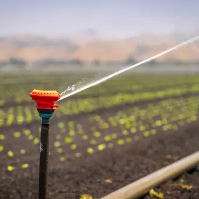 Micro Sprinkler Set