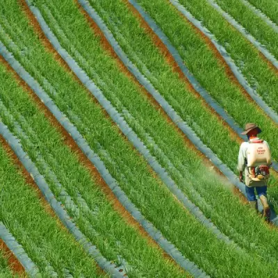 Glyphosate 41% SL Herbicide - 1L