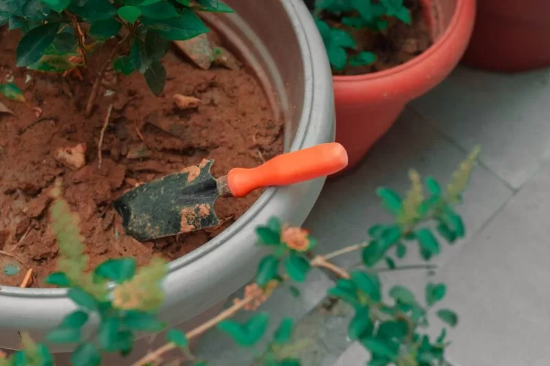 Self-Watering Planter