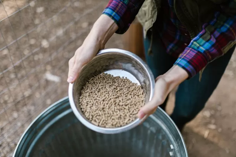 Chick Feed - 5kg