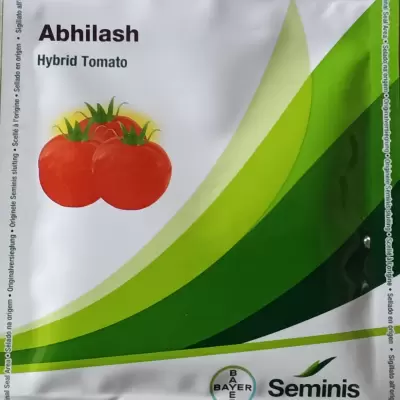 Tomato Hybrid Abhilash