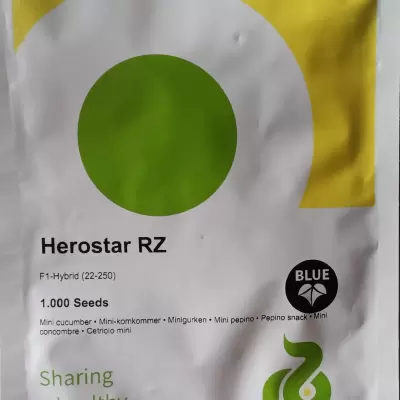 Cucumber Hybrid Herostar RZ