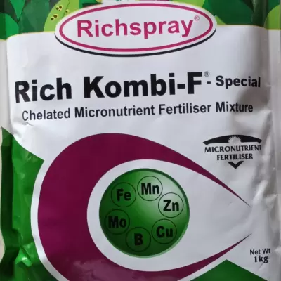 Rich Kombi-F-Speacial